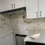 Kitchen Back Splash (7)